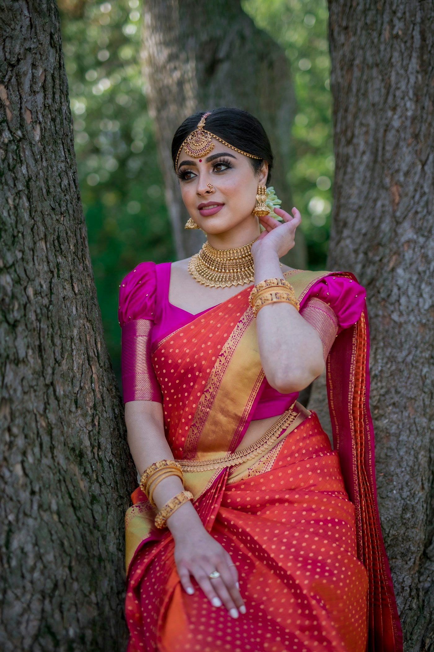Festive edit sarees